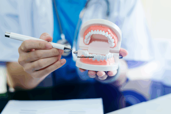 China Dental Market Report 2025–2033: Trends, Forecasts, and Competitive Analysis