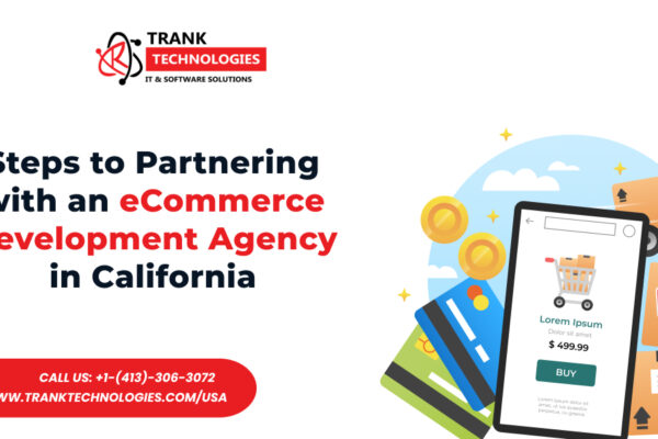 Steps to Partnering with an eCommerce Development Agency in California