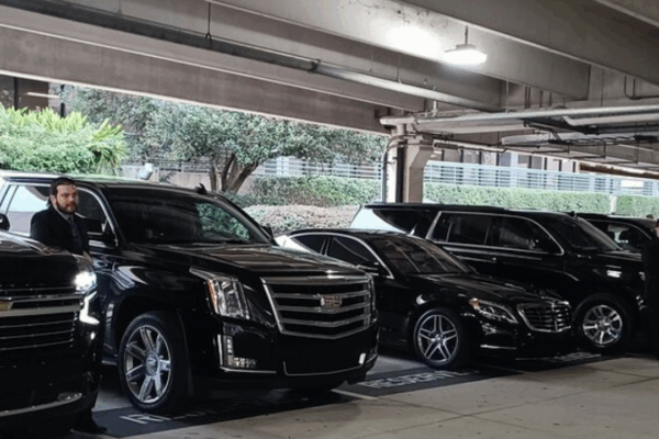 Port Everglades Limo Service Luxury & Reliable Cruise Transfers