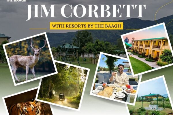Experience luxury and adventure at a 5-star resort in Jim Corbett