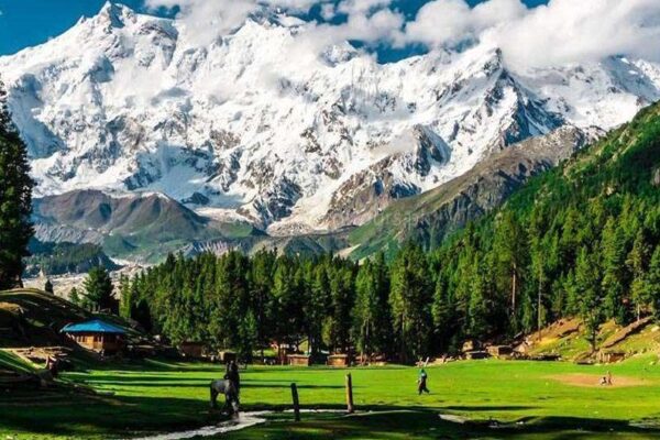 Journey Through Pakistan’s Northern Gems: Murree, Naran Kaghan & Chitral Awaits