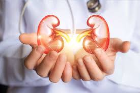 How to Detect Kidney Problems Early? Key Symptoms & Prevention