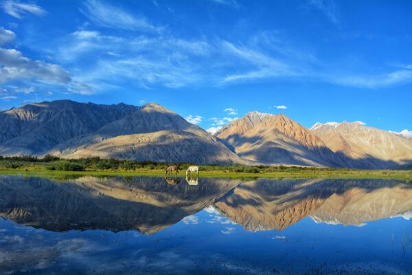 Ladakh Tourism: Explore the Land of High Passes and Timeless Beauty