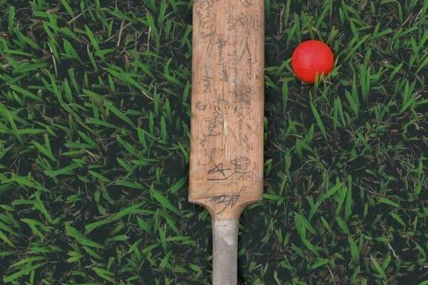 How to Choose the Best Cricket Betting Website in India (2025 Guide)