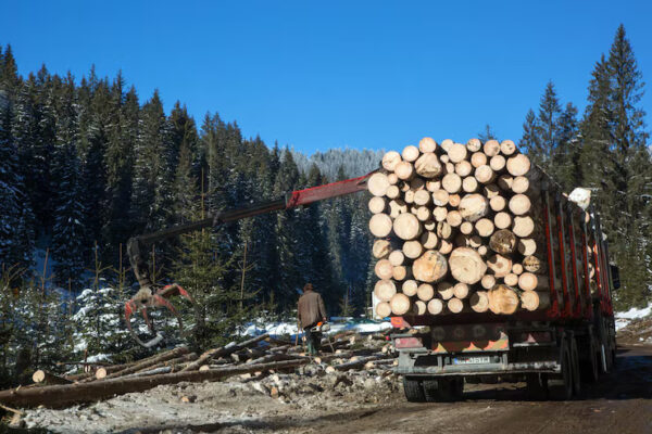 Before You Order: What Every Contractor Should Know About Lumber Lists