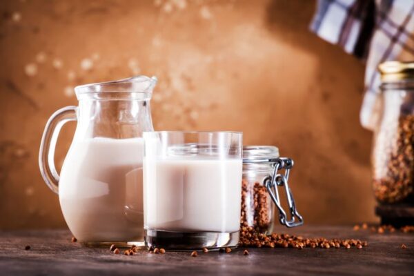 Is there a difference in allergic reactions between conventional and organic cow milk in Chennai?
