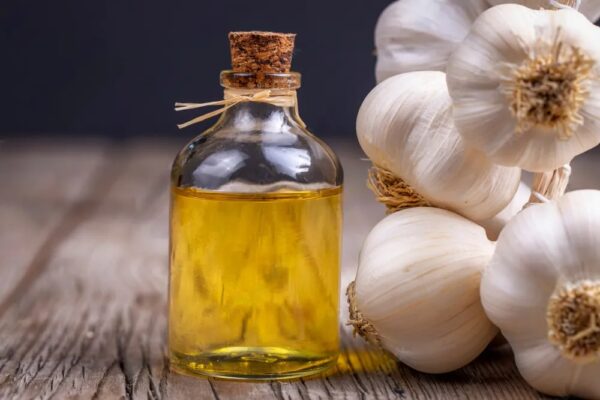 Your Ultimate Guide to Choosing the Best Garlic Oil Suppliers
