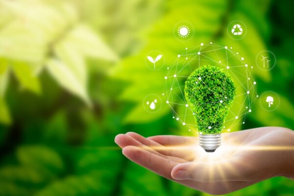 ISO 14001 Certification: Your Roadmap to Greener Chemical and Pharma Operations