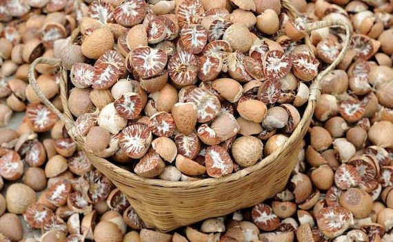 Establishing a Profitable Areca Nut Processing Plant Setup 2025, Project Cost Details