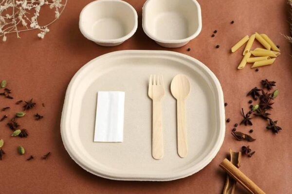 Raw Material Requirements for Setting Up a Bagasse Based Biodegradable Cutlery Manufacturing Plant