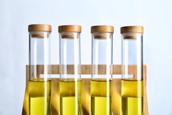 Report on Bio-Fuel From Wheat Based Ethanol Manufacturing Plant Setup with Cost Analysis and Requirements