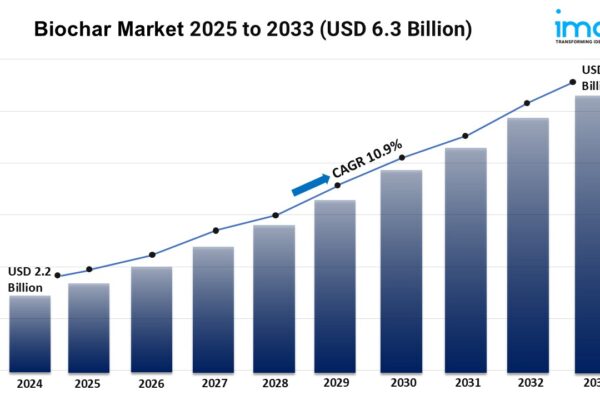 Biochar Market Size, Growth, Trends, Demand, and Forecast 2025-2033