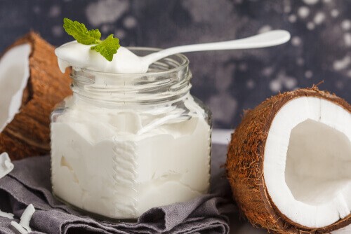 Keys to Running a Coconut yogurt Manufacturing Plant Setup Report 2025: Cost Details