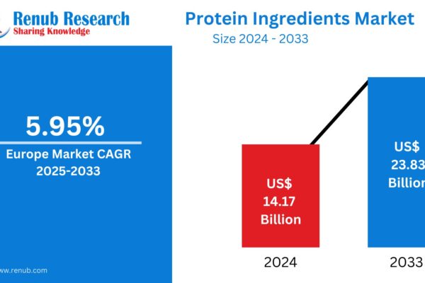 Europe Protein Ingredients Market Size, Forecast 2025-2033: A Comprehensive Industry Analysis