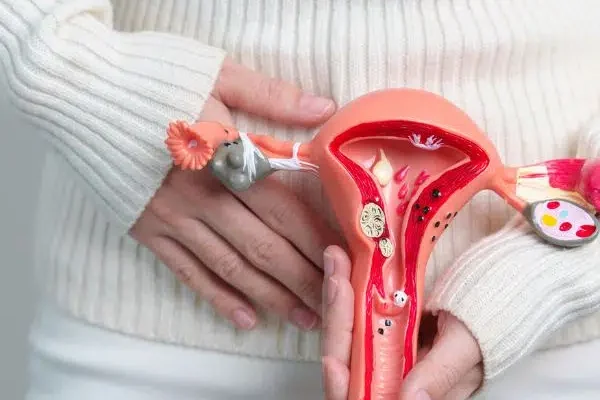 How to Maintain Reproductive Health in Your 40s and 50s