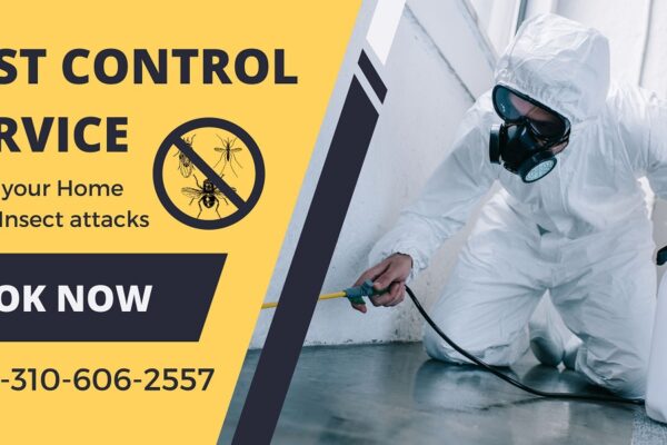 Oakland’s Trusted Pest Control – Fast, Friendly, and Reliable