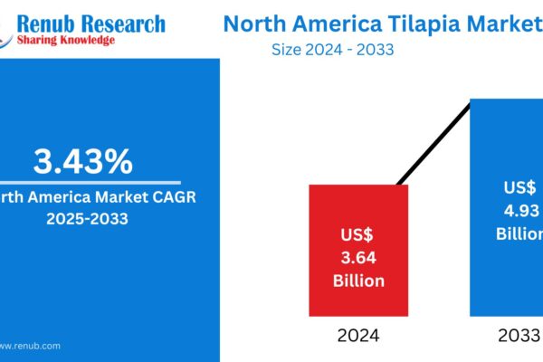 North America Tilapia Market Size, Forecast 2025-2033: A Comprehensive Industry Analysis