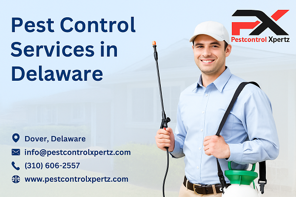 Effective Strategies for Pest Control in Middletown Homes