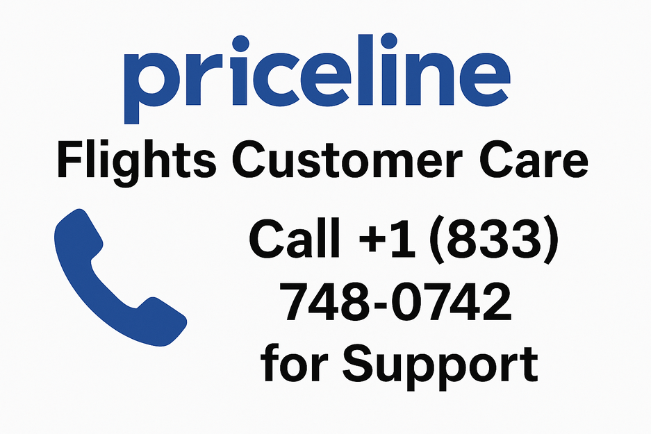 15 Ways to Contact How can i speak with a person at Priceline: The Complete Overview