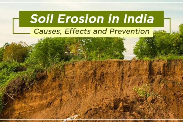 Learn about the Causes, Effects, and Prevention of Soil Erosion