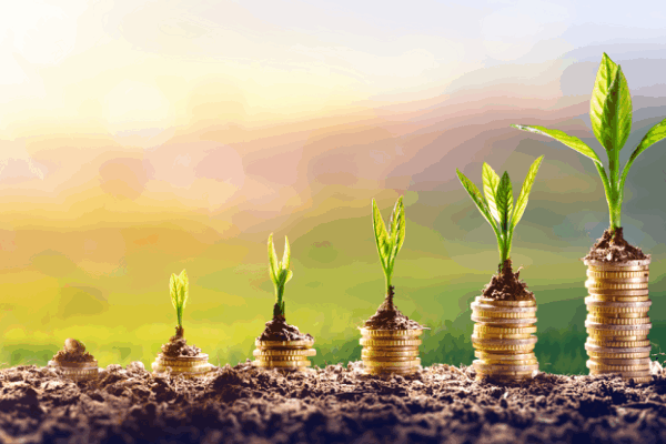 Using Compound Interest Accounts to Grow Wealth When You Start Late