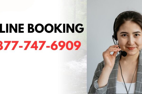 Ways to get help from Expedia Customer Service Number By Phone Number Email and Chat Options Explained