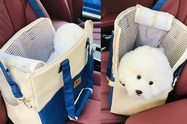 Why Every Dog Owner Needs a Reliable Puppy Car Carrier