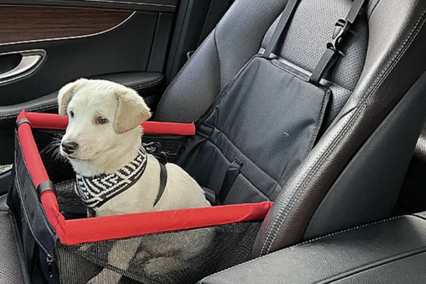 Why Every Dog Owner Needs a Reliable Puppy Car Carrier