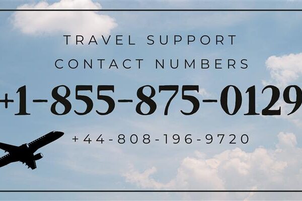 13 Ways to Contact Can I Speak to Someone at Expedia Now?: Your Complete Guide