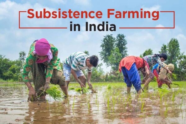 Know about Subsistence farming and its information