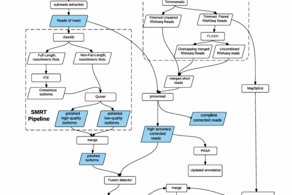 Introduction to Iso-Seq: Unveiling the Full-Length Transcripts with PacBio