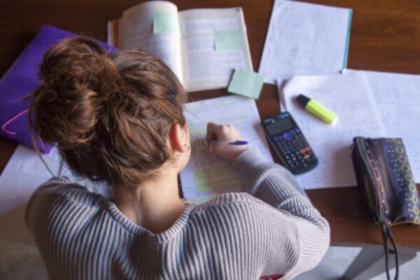 Business Dissertation Help Online: Your Guide to Academic Success