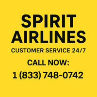 22 Ways to Call Exactly How Do I Speak with Someone at Spirit Airlines: A Comprehensive Guide