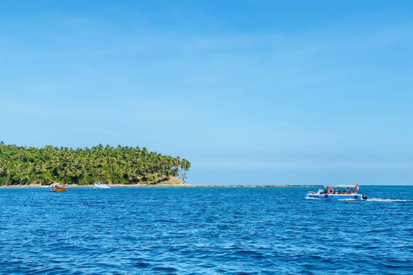 Plan Your Dream Vacation with These Affordable Andaman Tour Packages