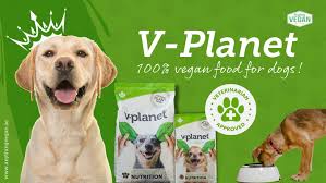 Best dog food in oud metha