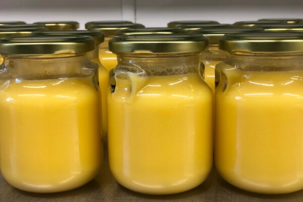 Affordable Buffalo Cow Ghee – Check Latest Price & Offers