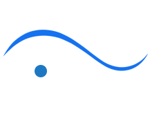DFD – Leading Mold Removal Specialists with a Professional Approach